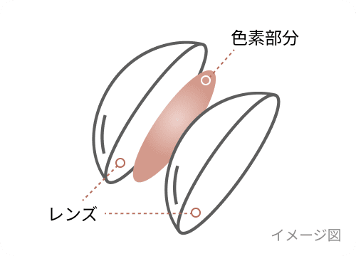 瞳に直接色素が触れないサンドイッチ構造